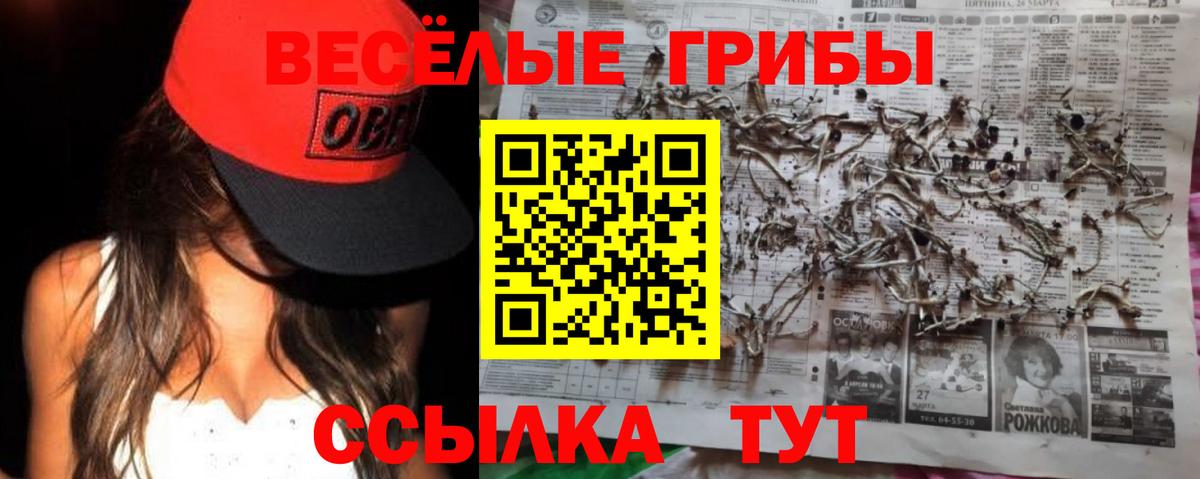 Псилоцибиновые грибы мицелий Дятьково
